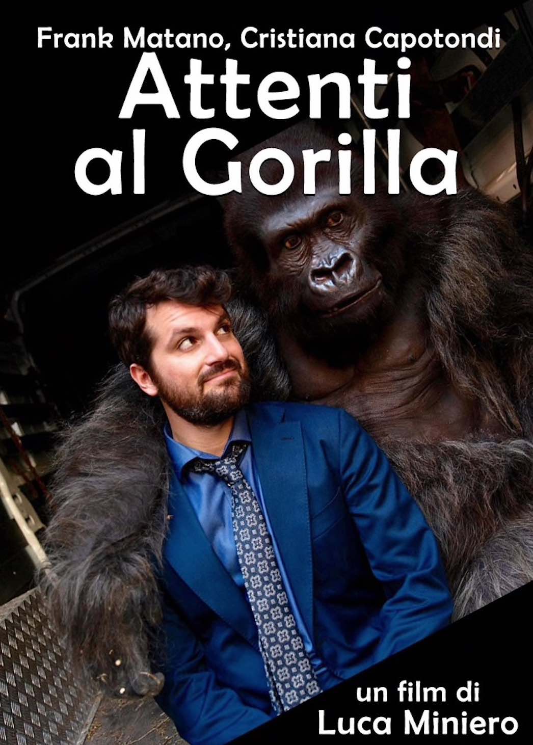 attenti al gorilla